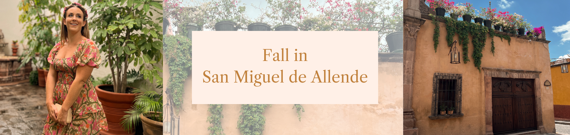 Fall-ing in Love in San Miguel
