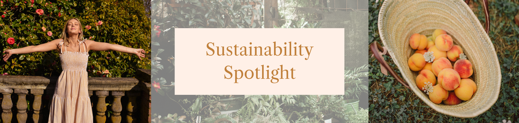 Spotlight on Sustainability
