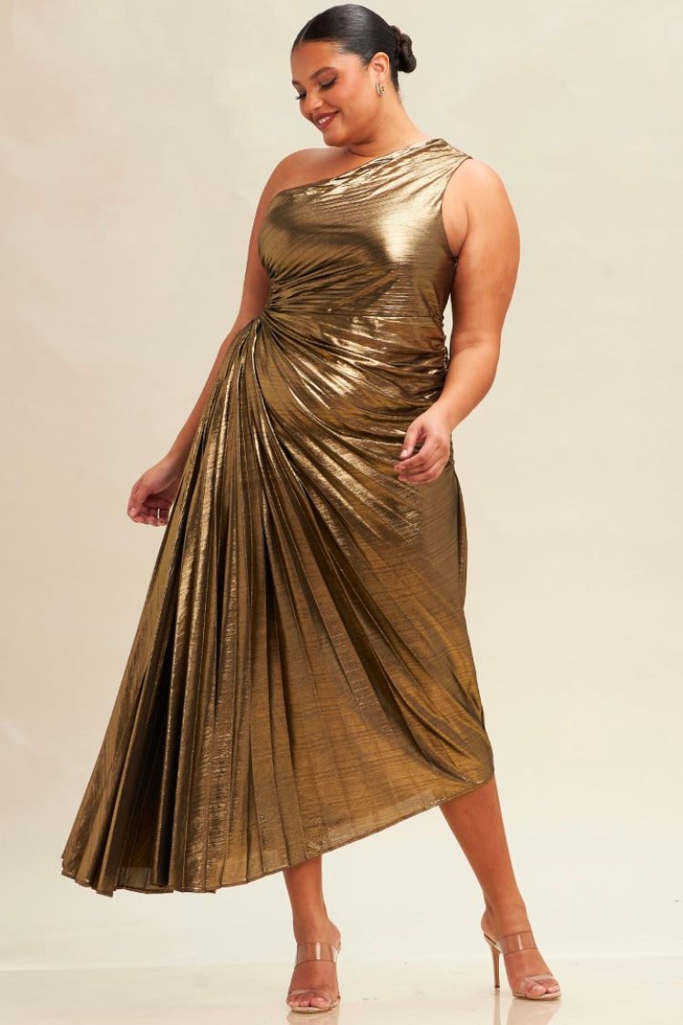 MARIA LUCIA HOHAN Melika gathered metallic jersey gown | THE OUTNET