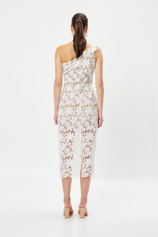 Joie belisa lace clearance dress