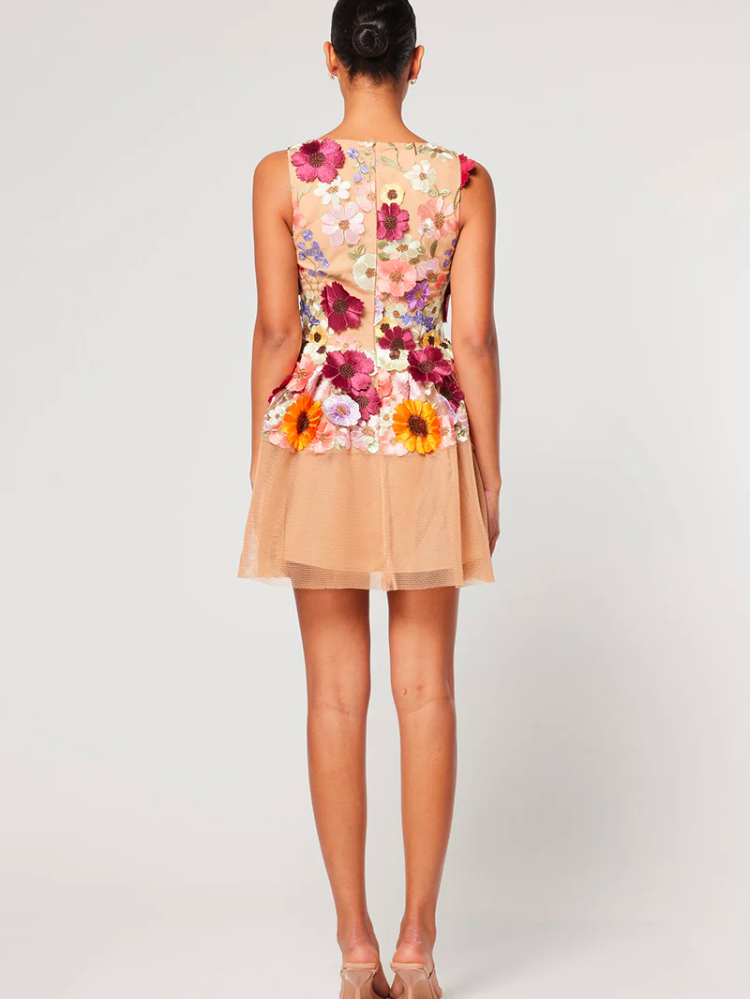 penny floral embroidered dress from elliatt